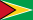 Flag of Guyana